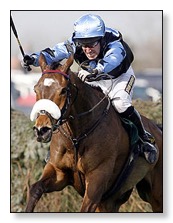 Silver Birch Wins the Grand National 2007